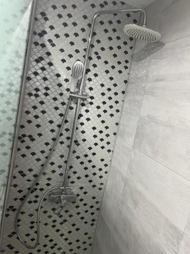a shower with a shower head in a bathroom at Apartament 5ive in Tăşnad