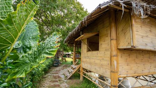 a wooden house with a large leafy plant next to it at Rice Wonder Cafe & Eco Resort in Rayong