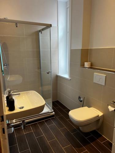 a bathroom with a shower and a toilet and a sink at Gästehof Cafe im Schafstall in Barsinghausen