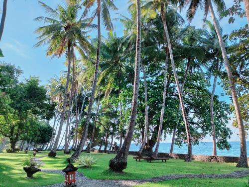 Gaia-Oasis Beach Resort – Photos 4