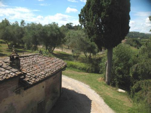 a house with a tree next to a dirt road at Agriturismo La Torretta in Siena