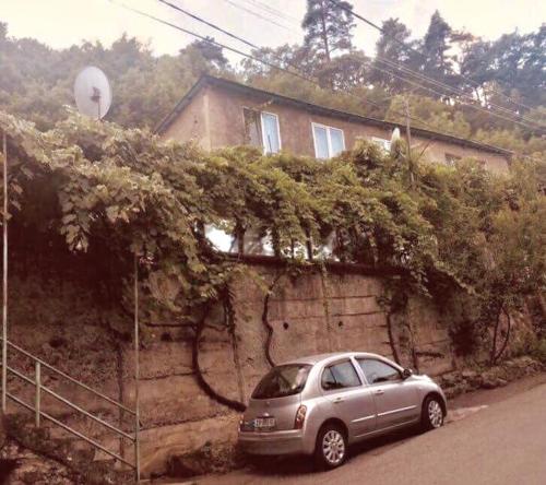 a silver car parked in front of a house at family apartment in Borjomi