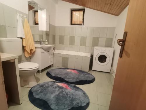 ein Badezimmer mit einem Waschbecken und einer Waschmaschine in der Unterkunft Holiday House Trnovac in Trnovdc