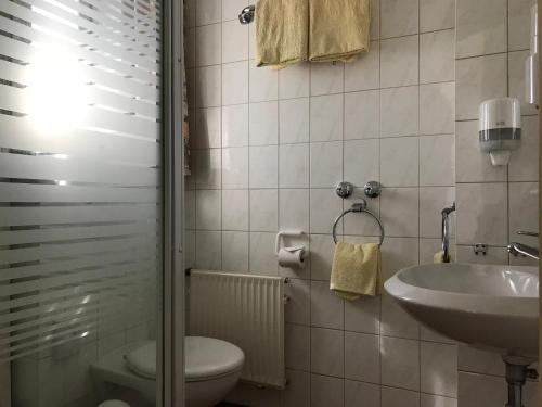 uma casa de banho com um WC e um lavatório em Land Gut Berlinchen em Berlinchen