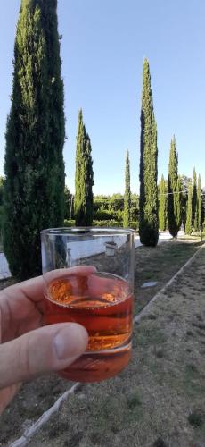 Nápoje v ubytování B&B Agriturismo Regno di Toscana