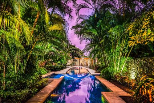 a swimming pool in a garden with palm trees at La Esquina (3 minutes from Beach, perfect for a family getaway) in Tamarindo