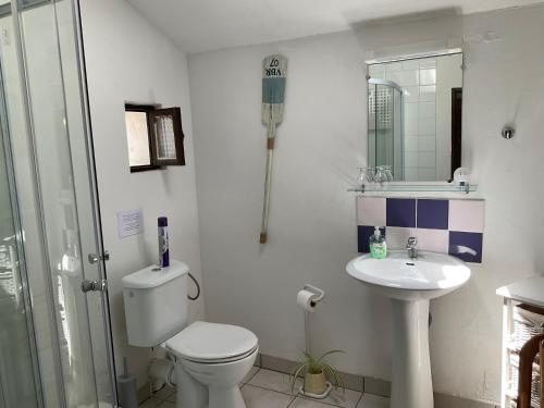 y baño con aseo, lavabo y ducha. en Le Jardin de Rose 24 FEUILLEBERT Romagne 86700 en Romagne