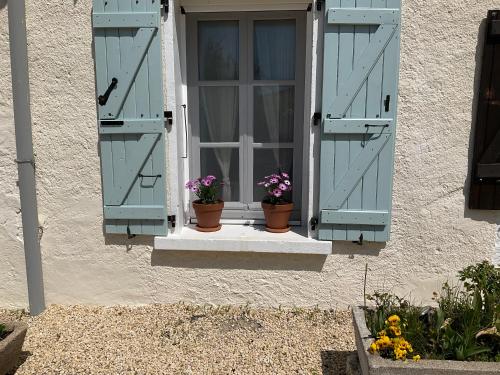 two potted plants sitting on a window sill with blue shutters at Le Jardin de Rose 24 FEUILLEBERT Romagne 86700 in Romagne