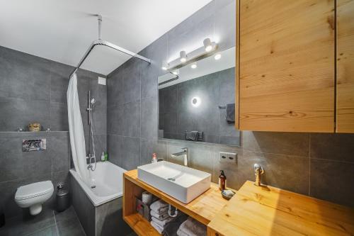 a bathroom with a sink and a toilet and a mirror at In the heart of Crans, fireplace and parking in Crans-Montana