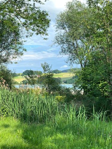 a field of grass with trees and a body of water at Ferienwohnung am Mattsee in Guggenberg