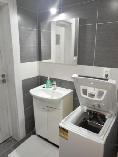 uma casa de banho com um lavatório e uma máquina de lavar roupa em Ubytovanie U Emmy em Banská Štiavnica