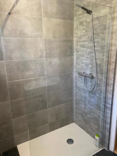 une salle de bain avec une douche avec une porte vitrée dans l'établissement LA PERLE - Charmant T3 à Annecy, à Annecy