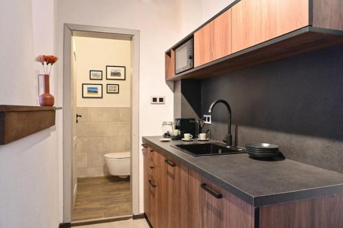 a kitchen with a sink and a toilet at Marand Villas in Bansko