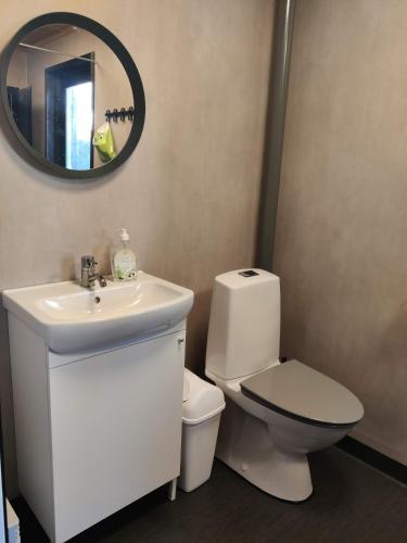 ein Badezimmer mit einem WC, einem Waschbecken und einem Spiegel in der Unterkunft Tuura in Orivesi
