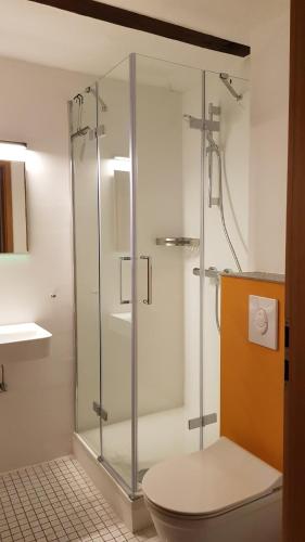 a glass shower stall in a bathroom with a toilet at Brunnenputzer Pension Restaurant in Külsheim