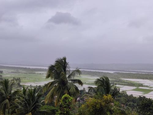 a palm tree in front of a field and the ocean at WhiteHouse Homestay by Oxystays Hospitality in Alibaug