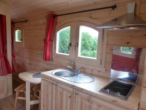 uma cozinha com um lavatório e um fogão numa pequena casa em La Roulotte de Bourgogne em Brianny