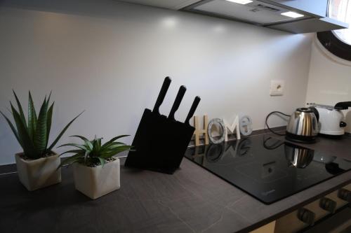 a kitchen with two utensils and plants on the counter at Casa Ercoli Abbadia in Abbadia di Montepulciano