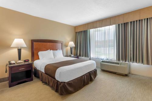 a hotel room with a bed and a large window at Best Western Lexington Inn in Lexington