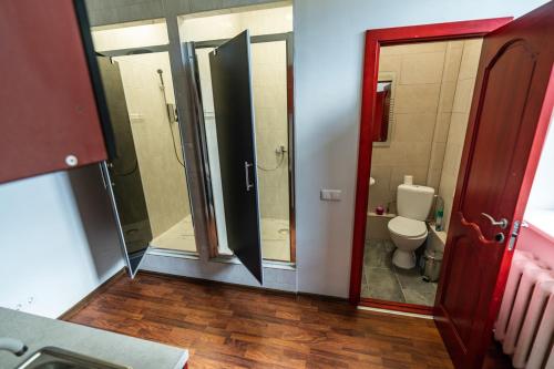 a bathroom with a shower and a toilet in it at Apartamentai Klaipeda Inn in Klaipėda