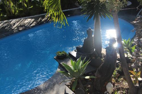 Bazén v ubytování LA LIANE DE JADE 974 - Lodge "Ylang Ylang" piscine chauffée - jacuzzi privatif nebo v jeho okolí