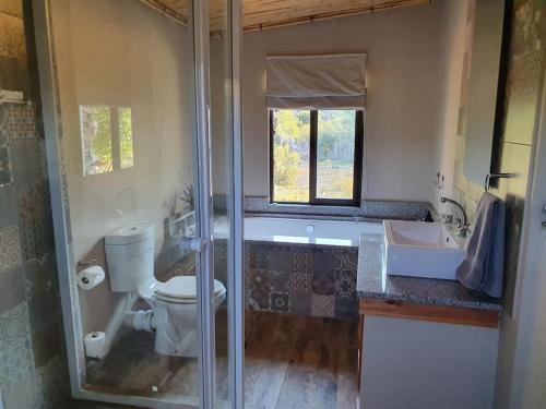 y baño con aseo y lavamanos. en Namakwa Country Cottage, en Calvinia