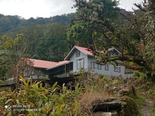una casa in mezzo a una foresta di Rinzeebong Homestay by StayApart a Mangan