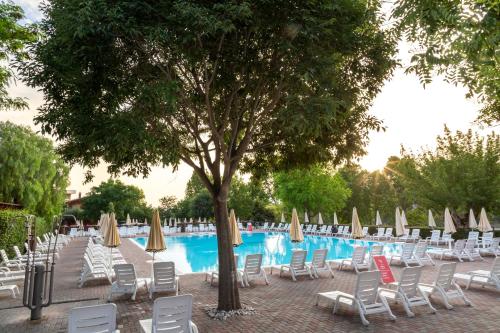 a group of chairs and a tree next to a pool at hu Roma Camping In Town in Rome