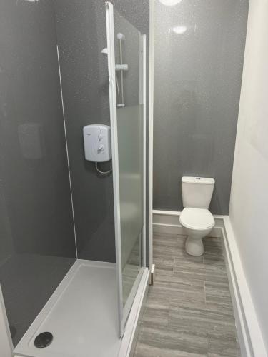 a bathroom with a toilet and a glass shower stall at Liley Apartments in Stockton-on-Tees
