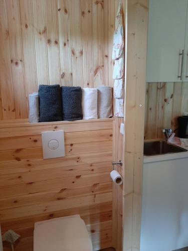a bathroom with a wooden wall with a toilet and a sink at Ásbrandsstadir Cottages in Vopnafjörður