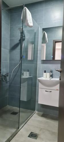 La salle de bains est pourvue d'une douche et d'un lavabo. dans l'établissement G&G Suites, à Ohrid