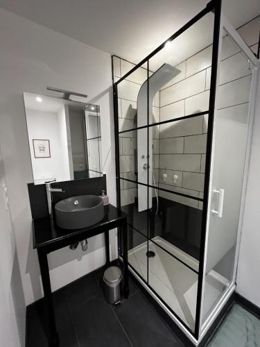 une salle de bain avec une douche en verre et un lavabo dans l'établissement Studio Cosy proche Gare et Centre Ville, à Lourdes