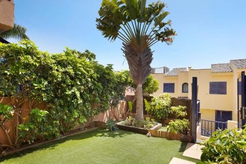 a palm tree in the yard of a house at Free Airport Shuttle and Parking in San Bartolomé de Tirajana