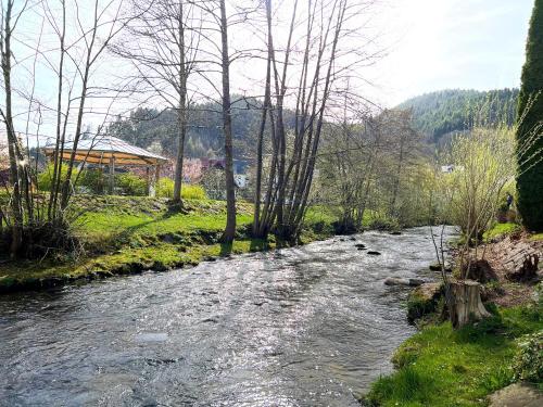 a river in a field with trees and a building at Ferienwohnung Kinzigblick - Balkon - Für Kinder - mit Bettwäsche & Handtücher in Schenkenzell