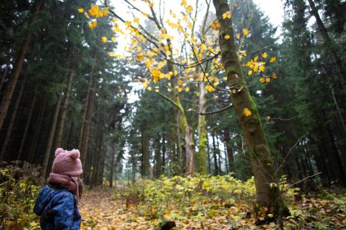 a child walking down a trail in the woods at Amenity Hotel & Resort Orlické hory in Deštné v Orlických horách