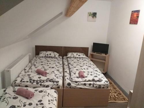 1 Schlafzimmer mit 2 Betten und einem TV in der Unterkunft Pensiunea Floare de Colt in Beliş
