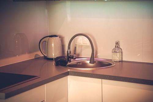 a kitchen counter with a sink and a toaster at THE LOFT - Wiślana 28 in Piotrków Trybunalski