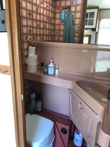 ein Badezimmer mit einem Waschbecken, einem WC und einem Spiegel in der Unterkunft COSY FARM BnB - DOGS WELCOME ON REQUEST - SIMPLE LIVING - CARAVAN in Tureby