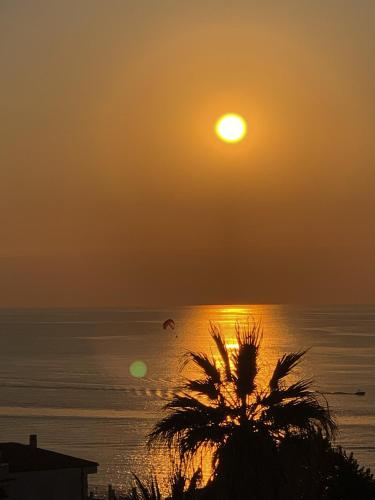 a sunset over the ocean with a palm tree in the foreground at NoOne Tropea Guesthouse in Tropea