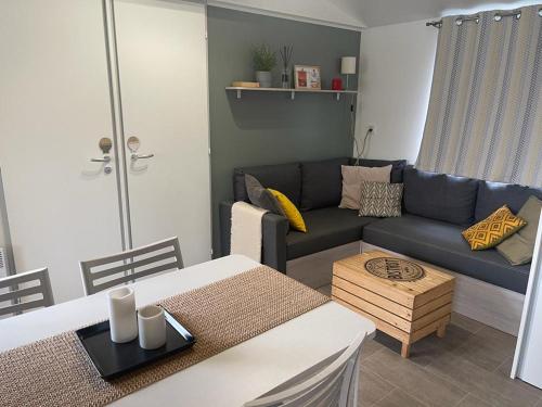 Mobil home au calme au Cap-Ferret - Camping les viviers \"au bord du bassin\"