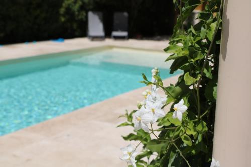 Billede fra billedgalleriet på La Villa des Moulins i Calvisson