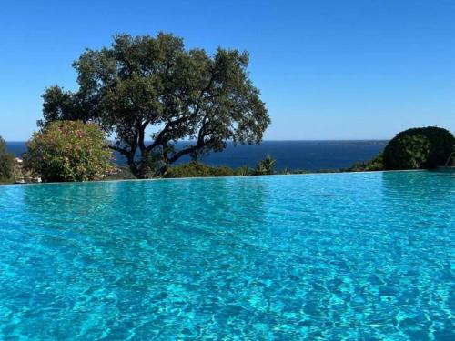 une grande piscine d'eau bleue avec un arbre en arrière-plan dans l'établissement APPARTEMENT CLIMATISE - TERRASSE AVEC APERCU MER - GOLF DE ST TROPEZ, aux Issambres