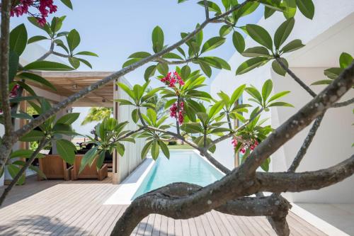 una piscina en una casa con árboles y flores en KA BRU Beach Boutique Hotel, en Barra Grande