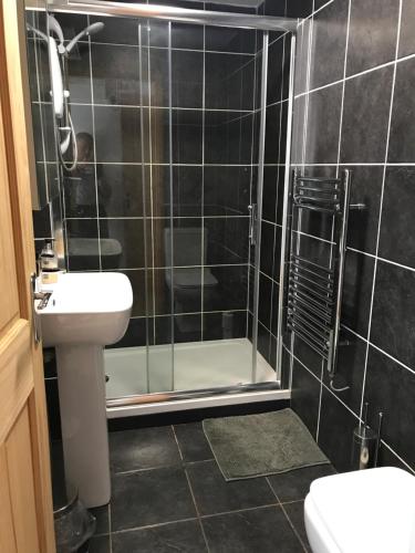 a bathroom with a shower and a toilet and a sink at The Stables and Granary at Shawbroom Farm in Cheswardine