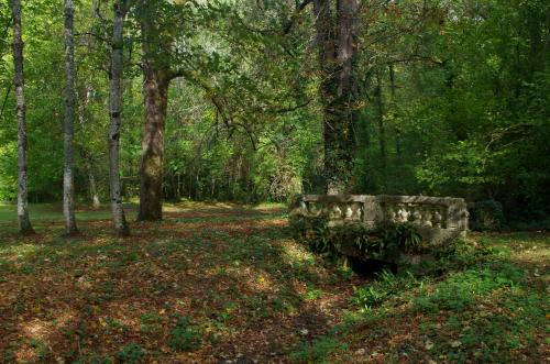 a stone bench sitting in the middle of a forest at Château d'Argentonesse in Castels