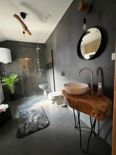 a bathroom with a sink and a mirror at Pod Świerkami in Zakrzówek