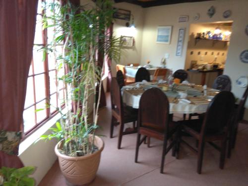 a dining room with a table and some plants at Huis KlipdriftSelf Catering &B&B in Hentiesbaai