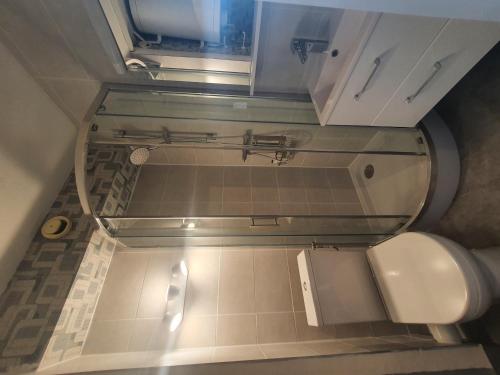 La salle de bains est pourvue de toilettes et d'une étagère en verre. dans l'établissement Studio cabine climatisé avec parking à Sète - FR-1-338-398, à Sète