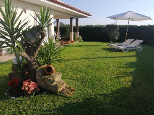 a garden with a palm tree and an umbrella at TERRENO DAS MIMOSAS in Aveiro