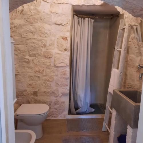 a bathroom with a toilet and a stone wall at TRULLO PIETRAPOESIA in Ostuni